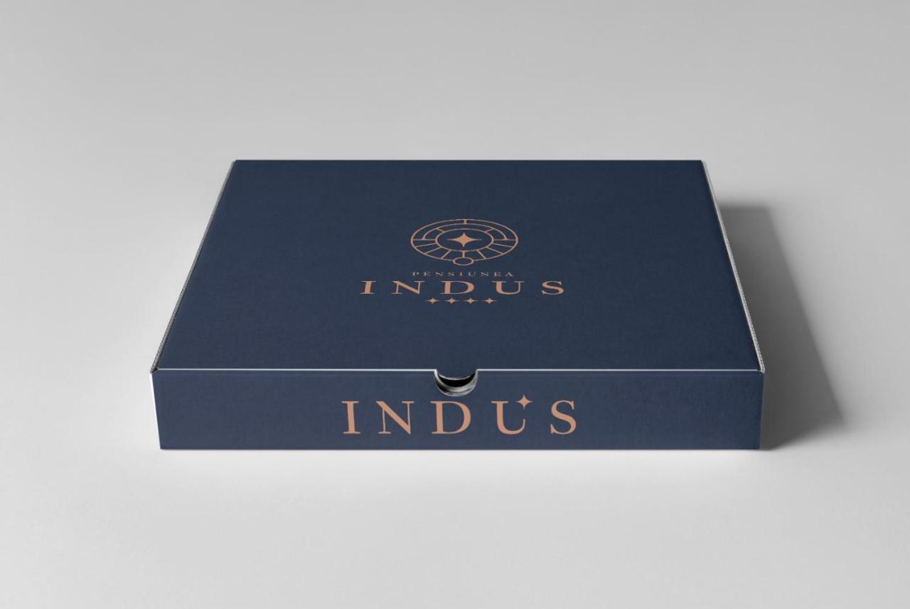 Pensiune Restaurant Indus Ocna Sibiului Eksteriør billede